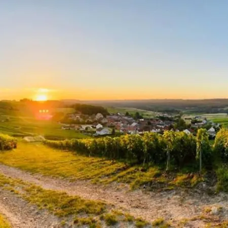 Cottage, Lodge & Spa Prouilly Buitenkant foto